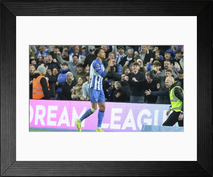 Framed Print : Brighton and Hove Albion v Crystal Palace Premier League 04FEB24 Framed Print : Brighton and Hove Albion v Crystal Palace Premier League 04FEB24