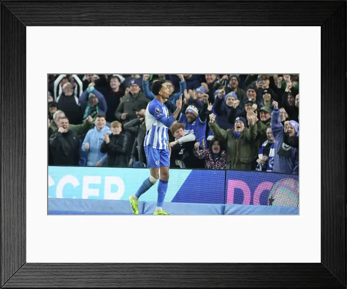 Framed Print : Brighton and Hove Albion v Crystal Palace Premier League 04FEB24 Framed Print : Brighton and Hove Albion v Crystal Palace Premier League 04FEB24
