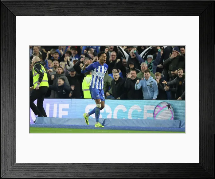Framed Print : Brighton and Hove Albion v Crystal Palace Premier League 04FEB24 Framed Print : Brighton and Hove Albion v Crystal Palace Premier League 04FEB24