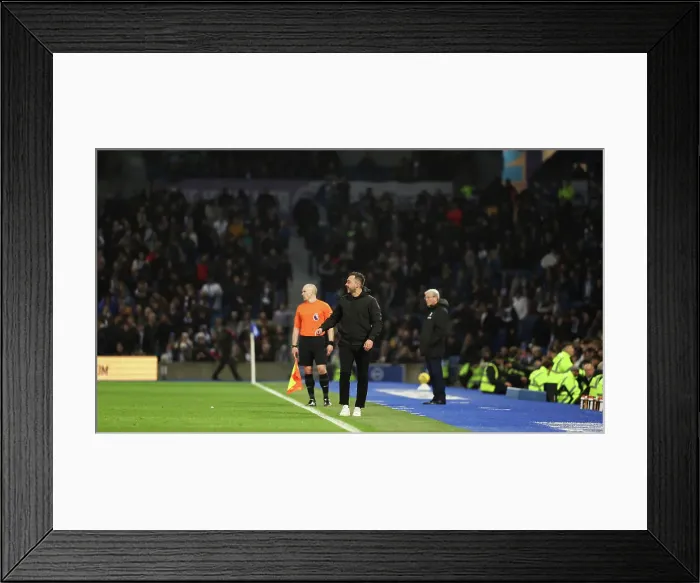 Framed Print : Brighton and Hove Albion v Crystal Palace Premier League 04FEB24 Framed Print : Brighton and Hove Albion v Crystal Palace Premier League 04FEB24