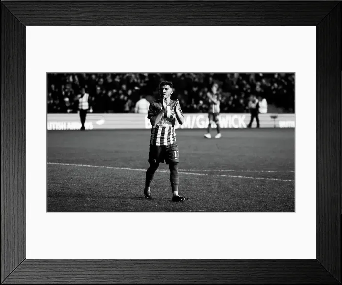 Framed Print : Brighton and Hove Albion v Crystal Palace Premier League 04FEB24 Framed Print : Brighton and Hove Albion v Crystal Palace Premier League 04FEB24