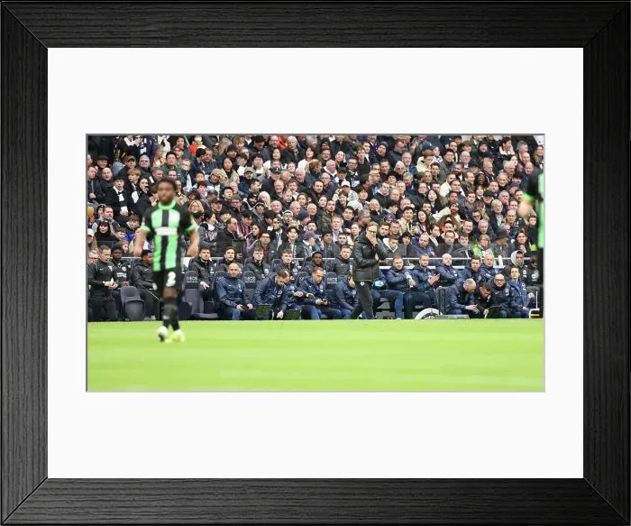 Framed Print : Tottenham Hotspur v Brighton and Hove Albion Premier League 10FEB24 Framed Print : Tottenham Hotspur v Brighton and Hove Albion Premier League 10FEB24
