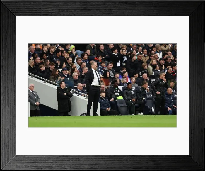 Framed Print : Tottenham Hotspur v Brighton and Hove Albion Premier League 10FEB24 Framed Print : Tottenham Hotspur v Brighton and Hove Albion Premier League 10FEB24