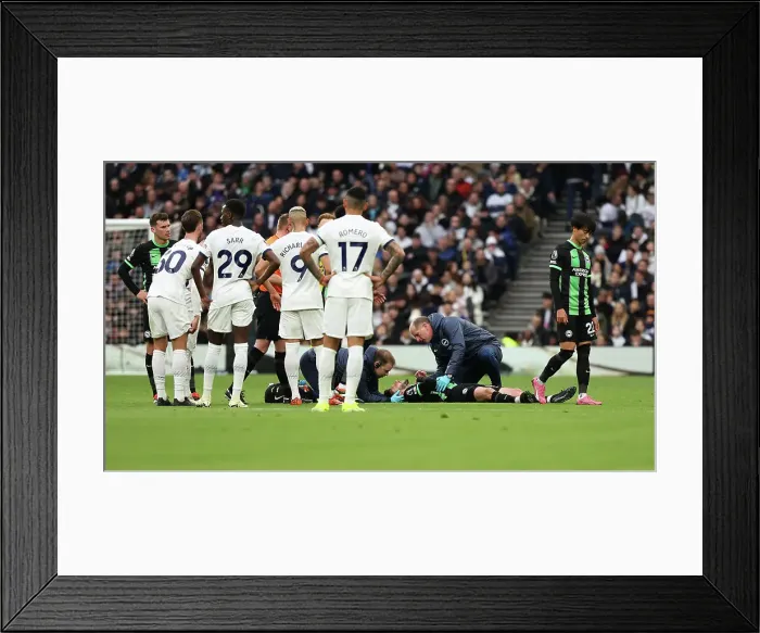 Framed Print : Tottenham Hotspur v Brighton and Hove Albion Premier League 10FEB24 Framed Print : Tottenham Hotspur v Brighton and Hove Albion Premier League 10FEB24