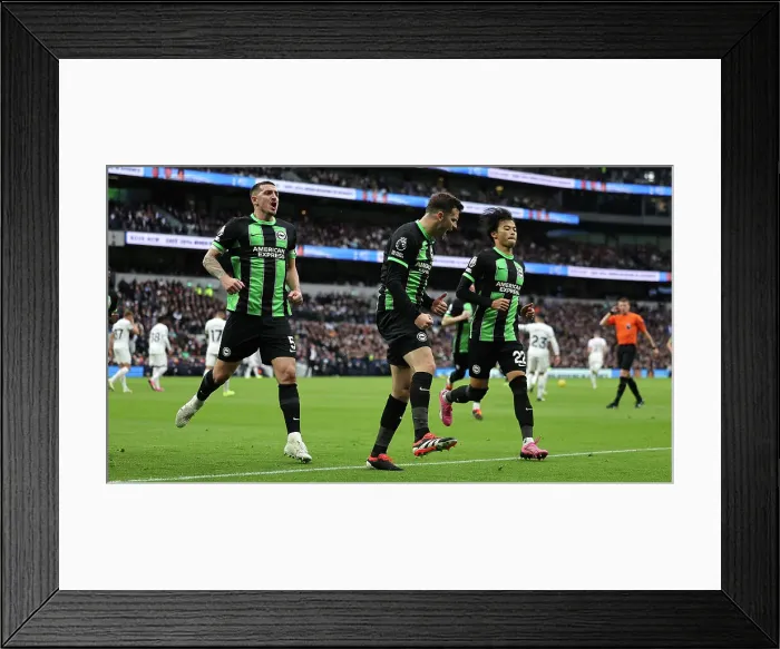 Framed Print : Tottenham Hotspur v Brighton and Hove Albion Premier League 10FEB24 Framed Print : Tottenham Hotspur v Brighton and Hove Albion Premier League 10FEB24