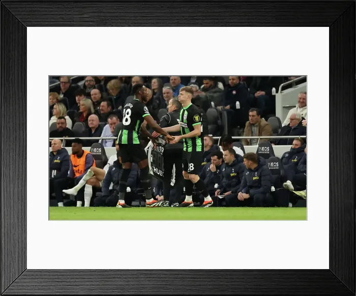 Framed Print : Tottenham Hotspur v Brighton and Hove Albion Premier League 10FEB24 Framed Print : Tottenham Hotspur v Brighton and Hove Albion Premier League 10FEB24