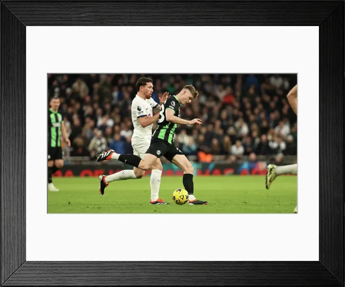 Framed Print : Tottenham Hotspur v Brighton and Hove Albion Premier League 10FEB24 Framed Print : Tottenham Hotspur v Brighton and Hove Albion Premier League 10FEB24