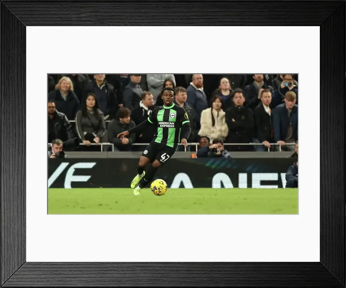 Framed Print : Tottenham Hotspur v Brighton and Hove Albion Premier League 10FEB24 Framed Print : Tottenham Hotspur v Brighton and Hove Albion Premier League 10FEB24