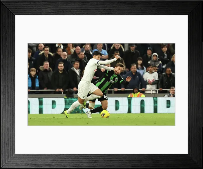 Framed Print : Tottenham Hotspur v Brighton and Hove Albion Premier League 10FEB24 Framed Print : Tottenham Hotspur v Brighton and Hove Albion Premier League 10FEB24