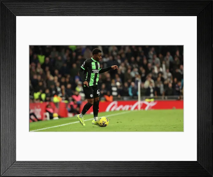 Framed Print : Tottenham Hotspur v Brighton and Hove Albion Premier League 10FEB24 Framed Print : Tottenham Hotspur v Brighton and Hove Albion Premier League 10FEB24