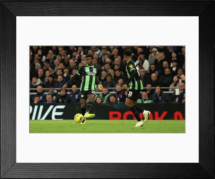 Framed Print : Tottenham Hotspur v Brighton and Hove Albion Premier League 10FEB24 Framed Print : Tottenham Hotspur v Brighton and Hove Albion Premier League 10FEB24