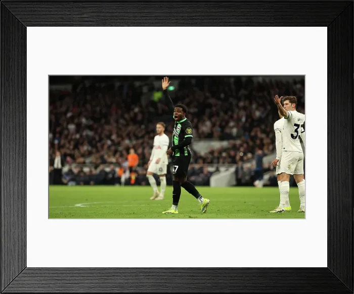Framed Print : Tottenham Hotspur v Brighton and Hove Albion Premier League 10FEB24 Framed Print : Tottenham Hotspur v Brighton and Hove Albion Premier League 10FEB24