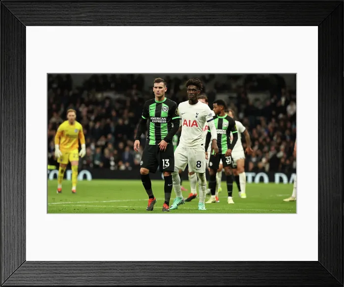 Framed Print : Tottenham Hotspur v Brighton and Hove Albion Premier League 10FEB24 Framed Print : Tottenham Hotspur v Brighton and Hove Albion Premier League 10FEB24