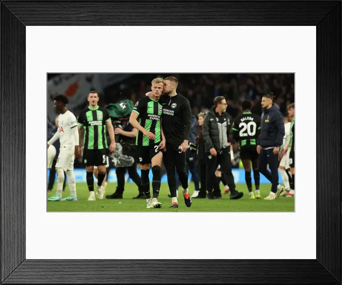 Framed Print : Tottenham Hotspur v Brighton and Hove Albion Premier League 10FEB24 Framed Print : Tottenham Hotspur v Brighton and Hove Albion Premier League 10FEB24