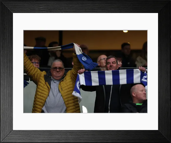 Framed Print : Tottenham Hotspur v Brighton and Hove Albion Premier League 10FEB24 Framed Print : Tottenham Hotspur v Brighton and Hove Albion Premier League 10FEB24