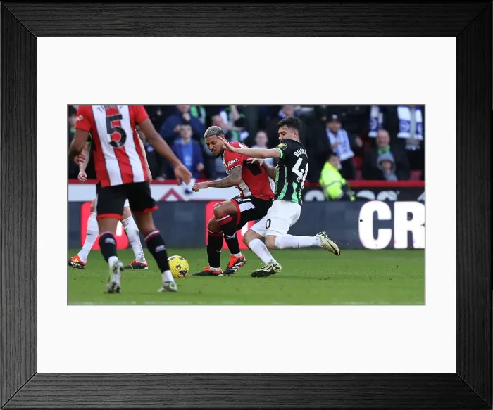 Framed Print : Sheffield United v Brighton and Hove Albion Premier League 18FEB24