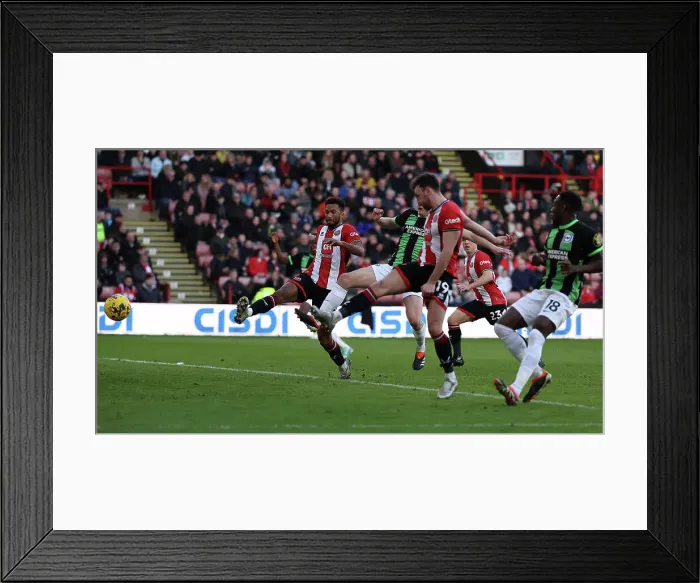 Framed Print : Sheffield United v Brighton and Hove Albion Premier League 18FEB24