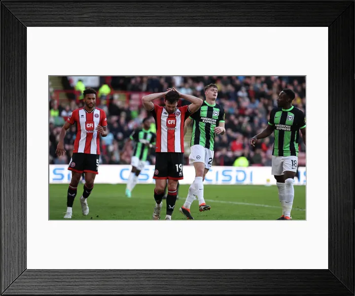 Framed Print : Sheffield United v Brighton and Hove Albion Premier League 18FEB24