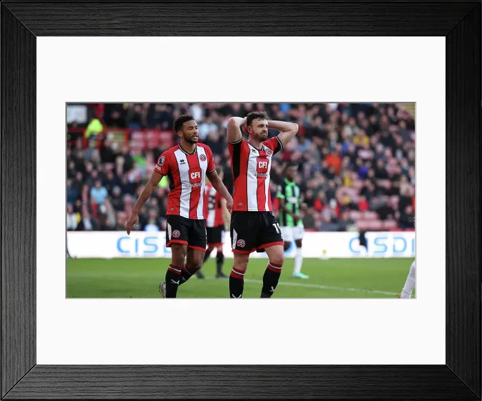 Framed Print : Sheffield United v Brighton and Hove Albion Premier League 18FEB24