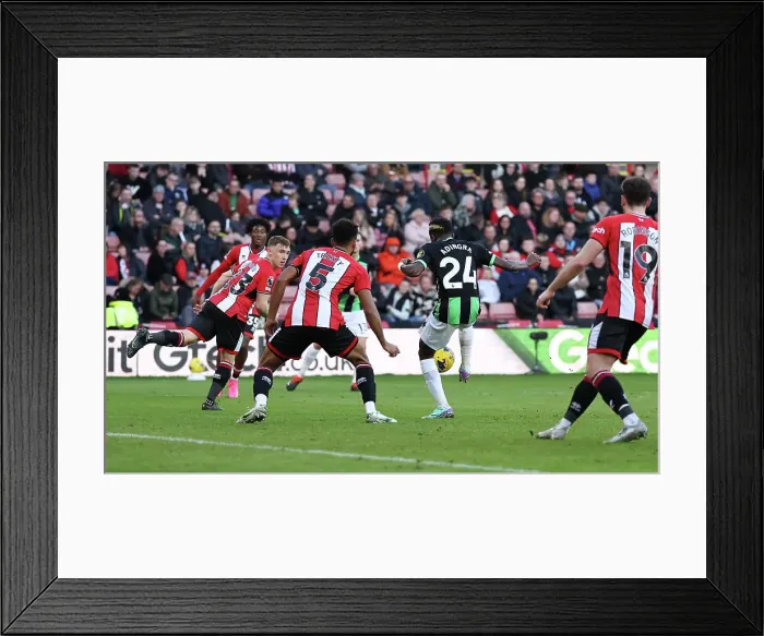 Framed Print : Sheffield United v Brighton and Hove Albion Premier League 18FEB24