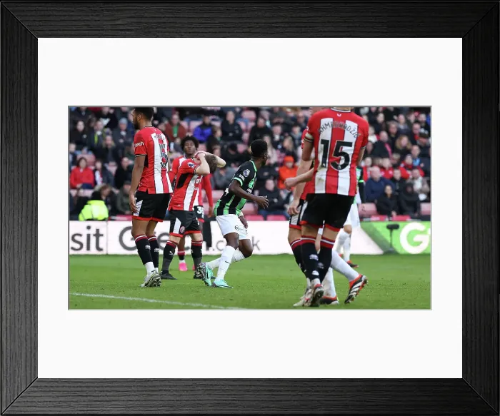 Framed Print : Sheffield United v Brighton and Hove Albion Premier League 18FEB24 Framed Print : Sheffield United v Brighton and Hove Albion Premier League 18FEB24
