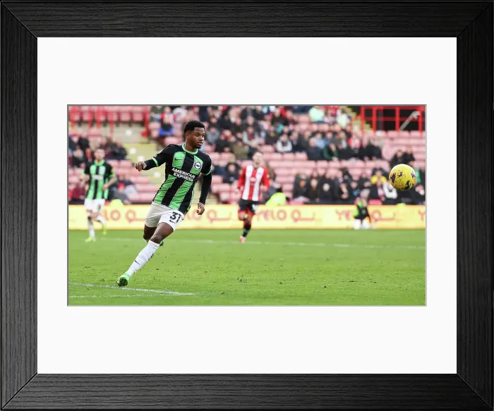 Framed Print : Sheffield United v Brighton and Hove Albion Premier League 18FEB24 Framed Print : Sheffield United v Brighton and Hove Albion Premier League 18FEB24