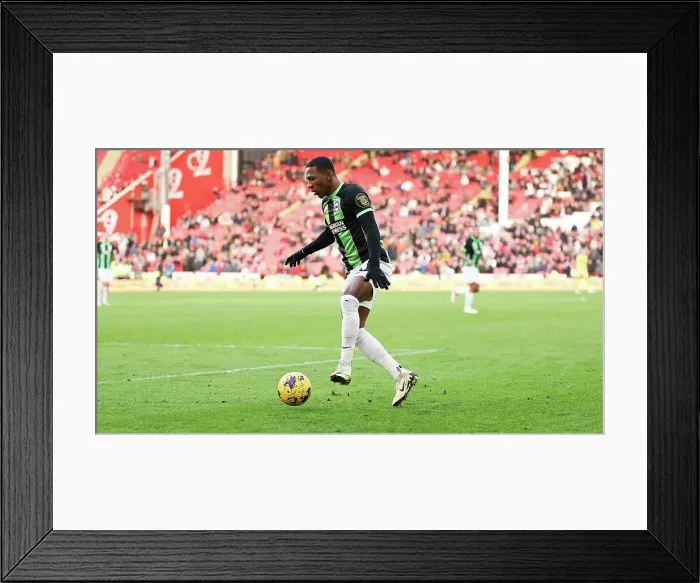 Framed Print : Sheffield United v Brighton and Hove Albion Premier League 18FEB24 Framed Print : Sheffield United v Brighton and Hove Albion Premier League 18FEB24