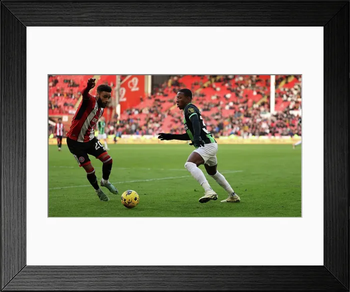 Framed Print : Sheffield United v Brighton and Hove Albion Premier League 18FEB24 Framed Print : Sheffield United v Brighton and Hove Albion Premier League 18FEB24