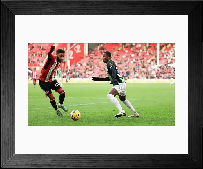 Framed Print : Sheffield United v Brighton and Hove Albion Premier League 18FEB24 Framed Print : Sheffield United v Brighton and Hove Albion Premier League 18FEB24