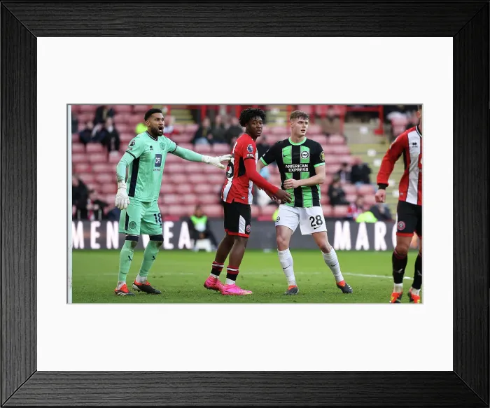 Framed Print : Sheffield United v Brighton and Hove Albion Premier League 18FEB24 Framed Print : Sheffield United v Brighton and Hove Albion Premier League 18FEB24