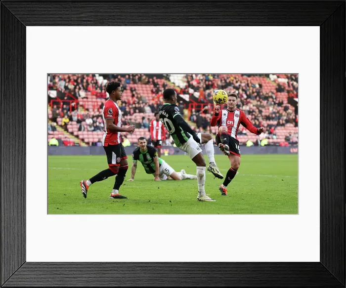 Framed Print : Sheffield United v Brighton and Hove Albion Premier League 18FEB24 Framed Print : Sheffield United v Brighton and Hove Albion Premier League 18FEB24