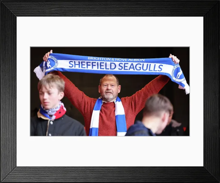 Framed Print : Sheffield United v Brighton and Hove Albion Premier League 18FEB24 Framed Print : Sheffield United v Brighton and Hove Albion Premier League 18FEB24