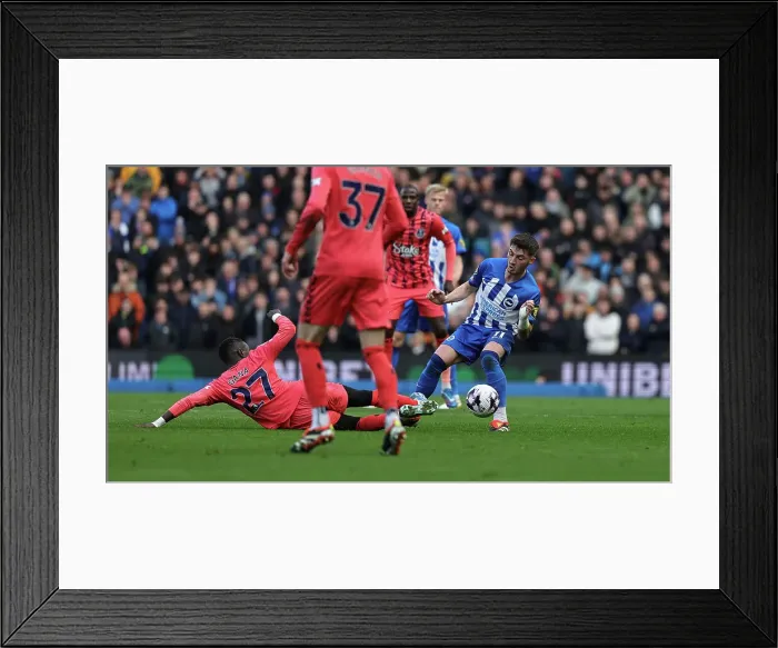 Framed Print : Brighton and Hove Albion v Everton Premier League 24FEB24 Framed Print : Brighton and Hove Albion v Everton Premier League 24FEB24