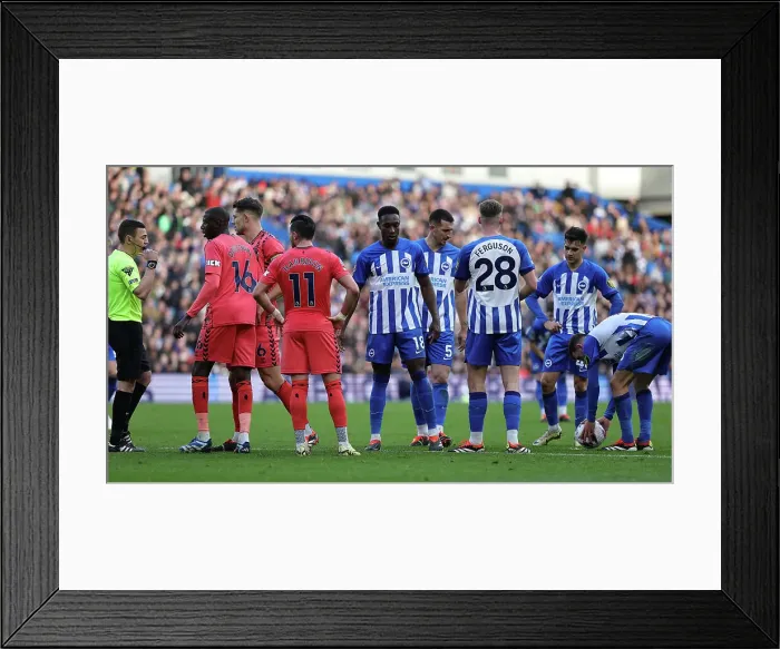 Framed Print : Brighton and Hove Albion v Everton Premier League 24FEB24 Framed Print : Brighton and Hove Albion v Everton Premier League 24FEB24