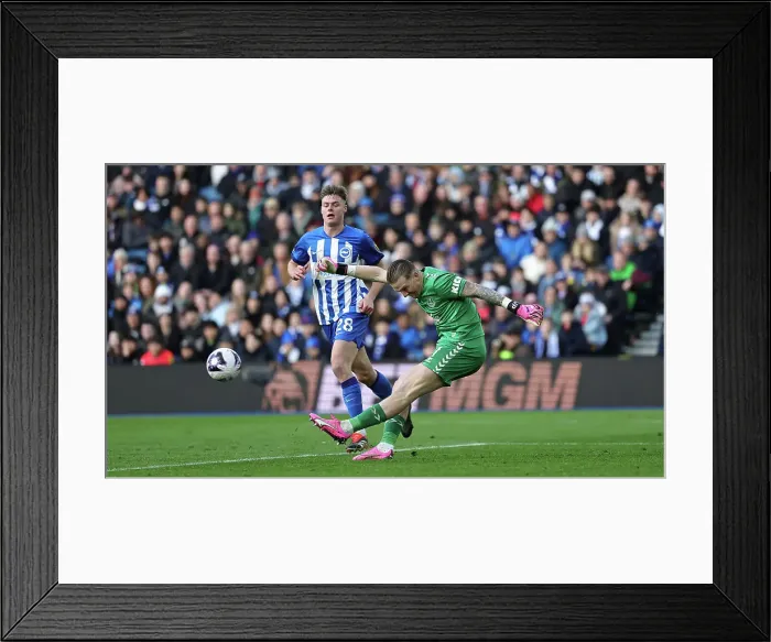 Framed Print : Brighton and Hove Albion v Everton Premier League 24FEB24 Framed Print : Brighton and Hove Albion v Everton Premier League 24FEB24