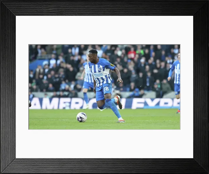 Framed Print : Brighton and Hove Albion v Everton Premier League 24FEB24 Framed Print : Brighton and Hove Albion v Everton Premier League 24FEB24