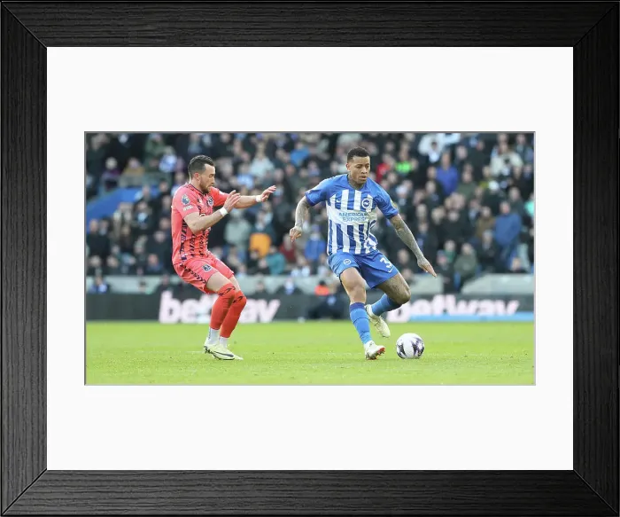 Framed Print : Brighton and Hove Albion v Everton Premier League 24FEB24