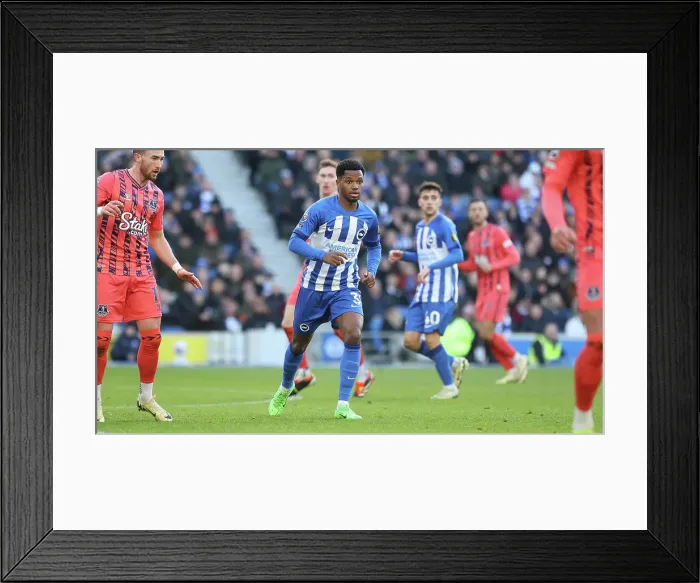 Framed Print : Brighton and Hove Albion v Everton Premier League 24FEB24 Framed Print : Brighton and Hove Albion v Everton Premier League 24FEB24
