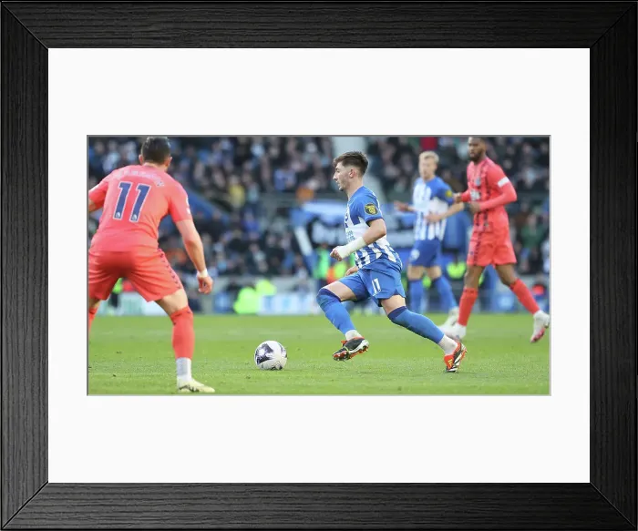 Framed Print : Brighton and Hove Albion v Everton Premier League 24FEB24