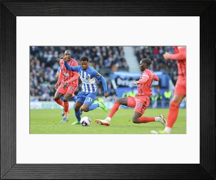 Framed Print : Brighton and Hove Albion v Everton Premier League 24FEB24 Framed Print : Brighton and Hove Albion v Everton Premier League 24FEB24