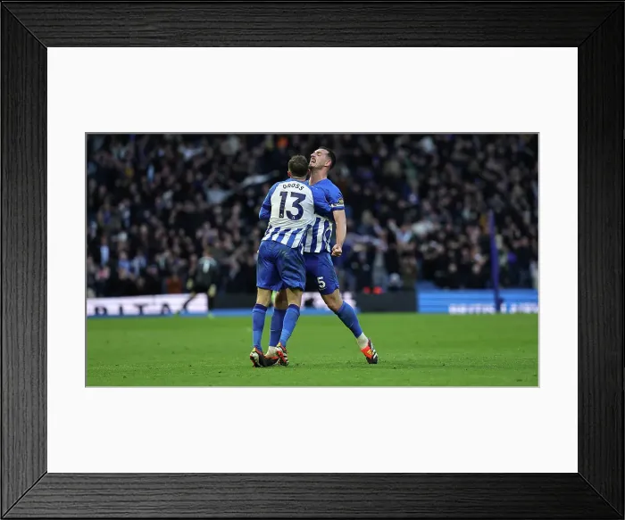 Framed Print : Brighton and Hove Albion v Everton Premier League 24FEB24 Framed Print : Brighton and Hove Albion v Everton Premier League 24FEB24