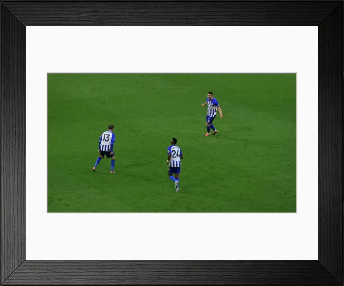 Framed Print : Brighton and Hove Albion v Everton Premier League 24FEB24 Framed Print : Brighton and Hove Albion v Everton Premier League 24FEB24
