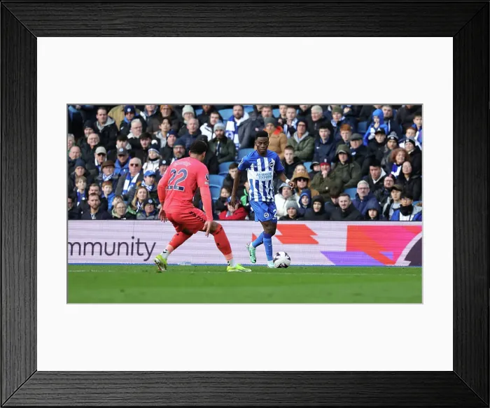 Framed Print : Brighton and Hove Albion v Everton Premier League 24FEB24 Framed Print : Brighton and Hove Albion v Everton Premier League 24FEB24