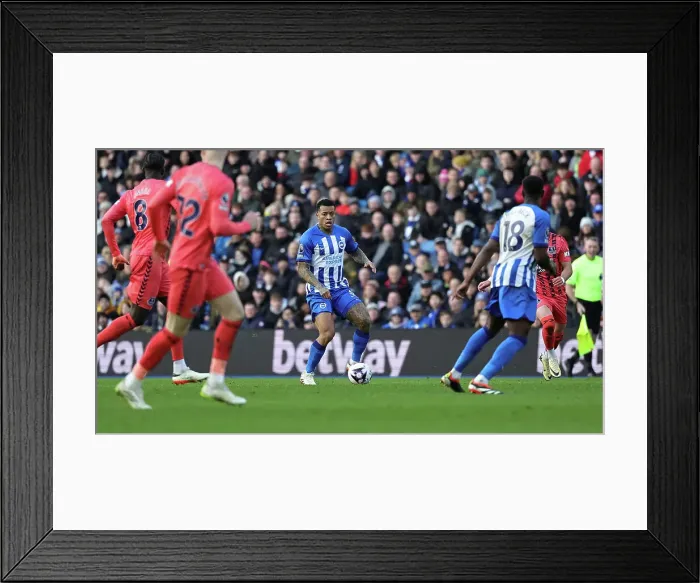 Framed Print : Brighton and Hove Albion v Everton Premier League 24FEB24 Framed Print : Brighton and Hove Albion v Everton Premier League 24FEB24