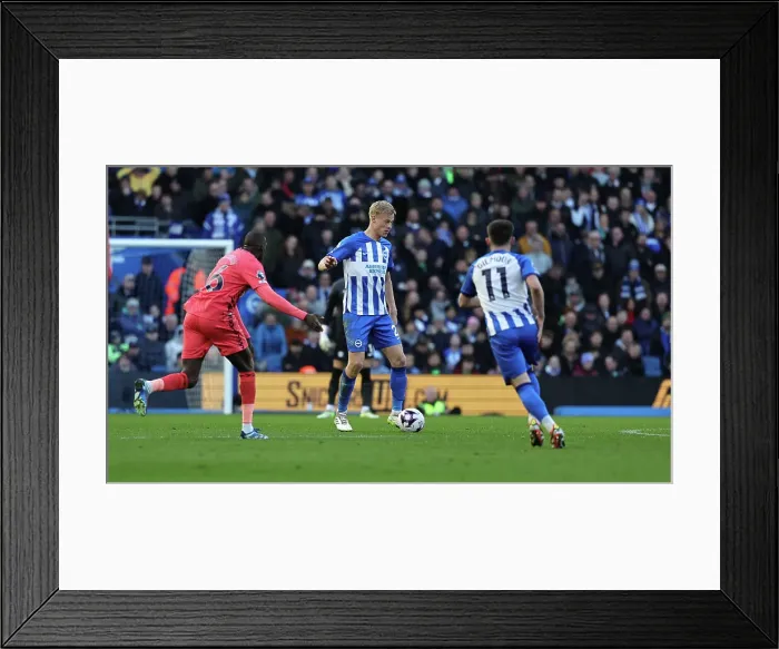 Framed Print : Brighton and Hove Albion v Everton Premier League 24FEB24 Framed Print : Brighton and Hove Albion v Everton Premier League 24FEB24