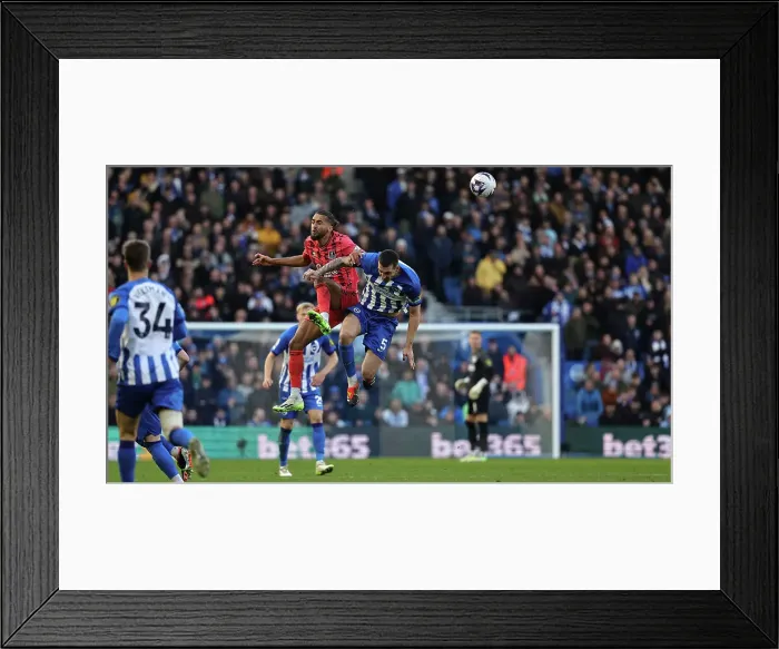 Framed Print : Brighton and Hove Albion v Everton Premier League 24FEB24 Framed Print : Brighton and Hove Albion v Everton Premier League 24FEB24