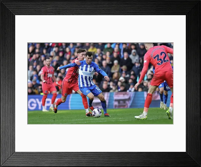 Framed Print : Brighton and Hove Albion v Everton Premier League 24FEB24 Framed Print : Brighton and Hove Albion v Everton Premier League 24FEB24