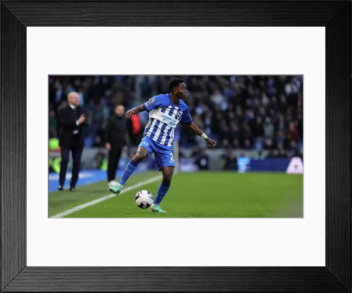 Framed Print : Brighton and Hove Albion v Everton Premier League 24FEB24 Framed Print : Brighton and Hove Albion v Everton Premier League 24FEB24