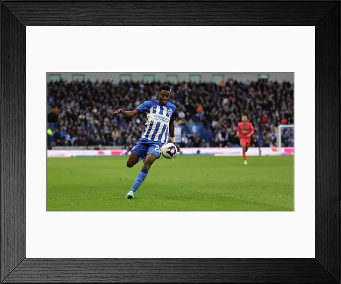 Framed Print : Brighton and Hove Albion v Everton Premier League 24FEB24 Framed Print : Brighton and Hove Albion v Everton Premier League 24FEB24