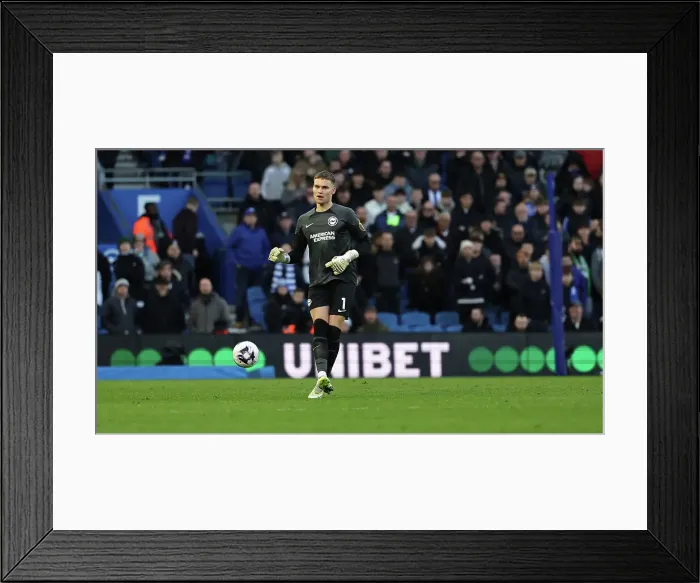 Framed Print : Brighton and Hove Albion v Everton Premier League 24FEB24 Framed Print : Brighton and Hove Albion v Everton Premier League 24FEB24